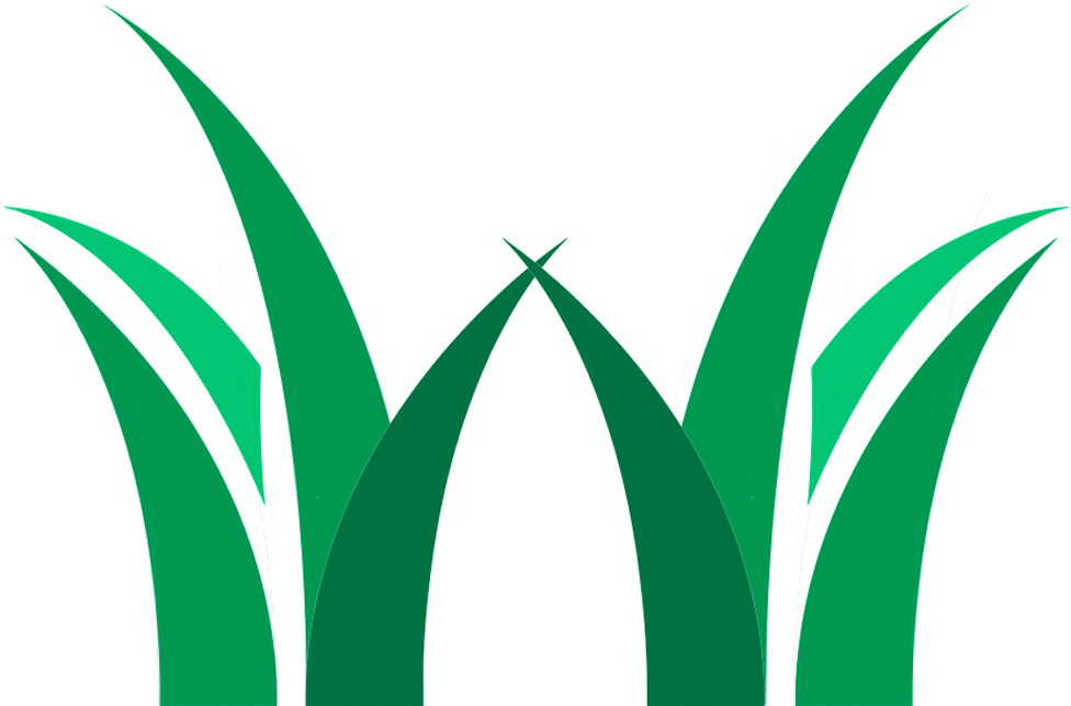 Wills Mowing Brisbane - Wills Mowing Brisbane (1024x750)