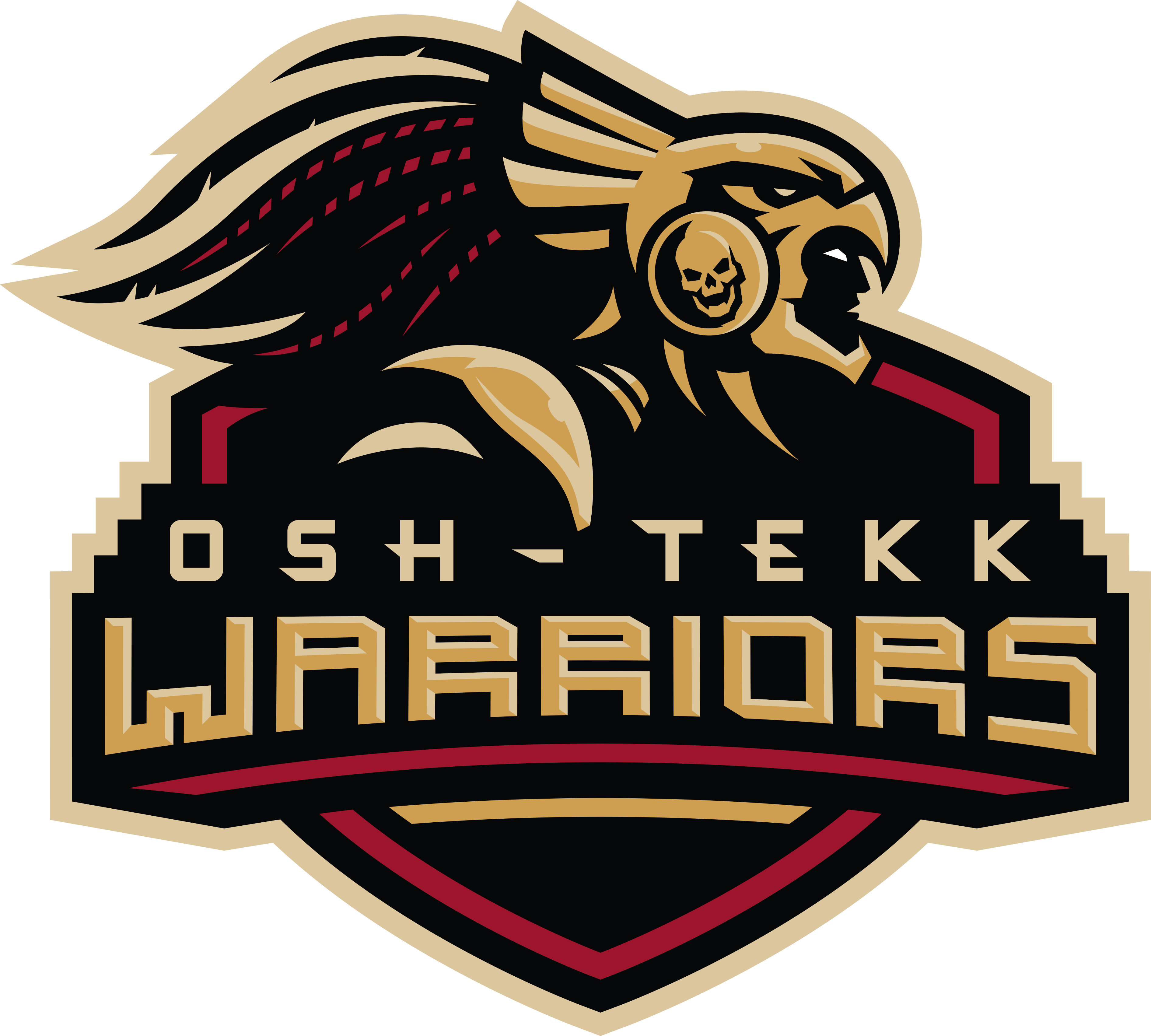 Head Coach Luis “r0iv“ Andrade Sanz Of The Osh-tekk - Osh Tekk Warriors Png (3782x3404)