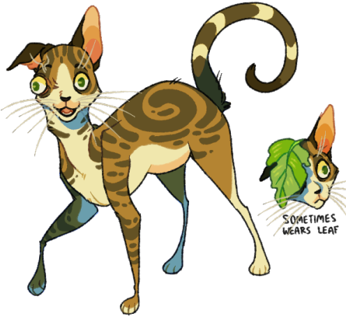 Breeds I Want To See In Warriors - Warrior Cats Ocs (500x500)