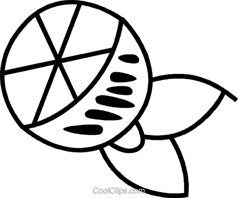 Sliced Orange Royalty Free Vector Clip Art Illustration - Line Art (480x399)