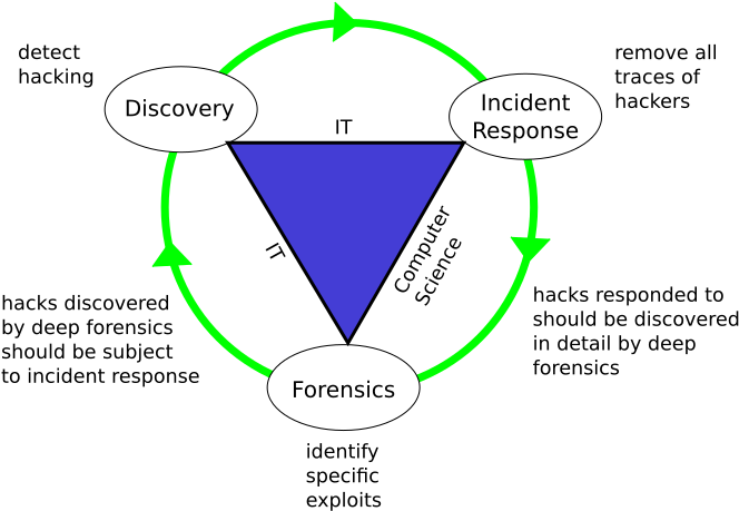 Digital Forensics Is The Meticulous Task Of Identifying - Brain Learning (744x478)