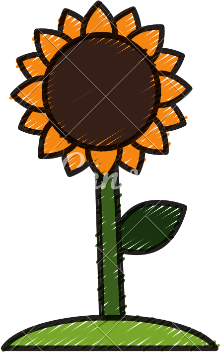 Beautiful Sunflower Symbol - Rangoli Designs Clip Art (800x800)