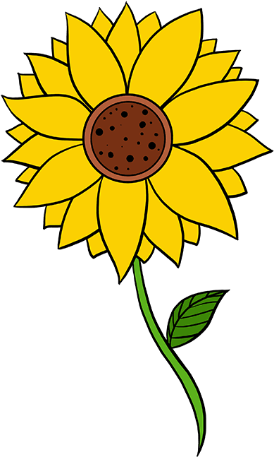 680 X 678 3 - Sunflower Sketch Step By Step (680x678)