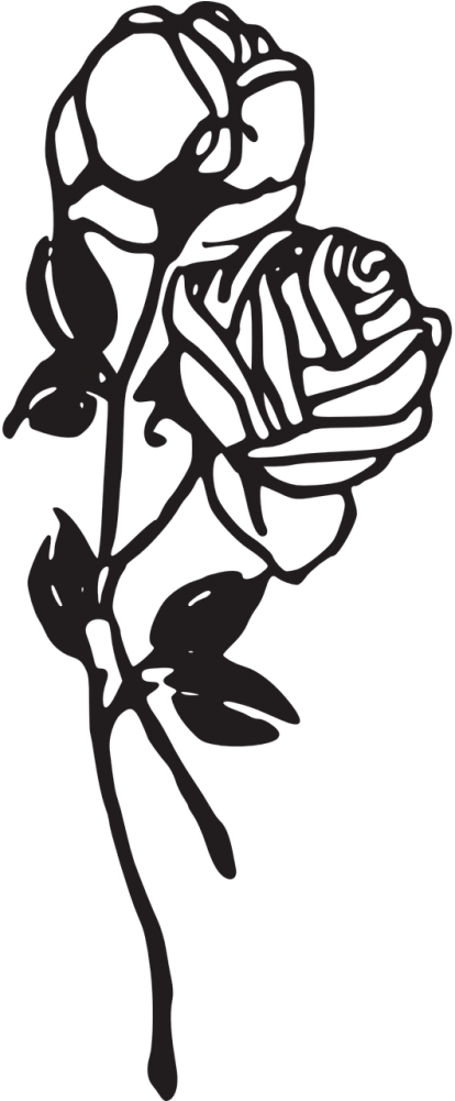 Vector,flower Vector, - Rose Clip Art Black And White Png (500x1000)