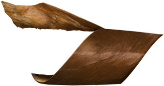 000 Cigars Made Per Day - Plywood (1000x590)