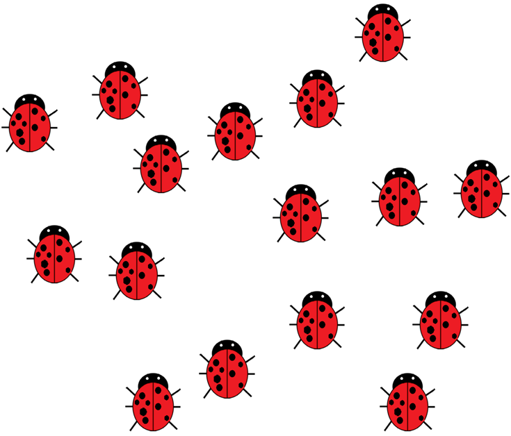 Question 1 Of - Groups Of Objects For Counting (735x628)