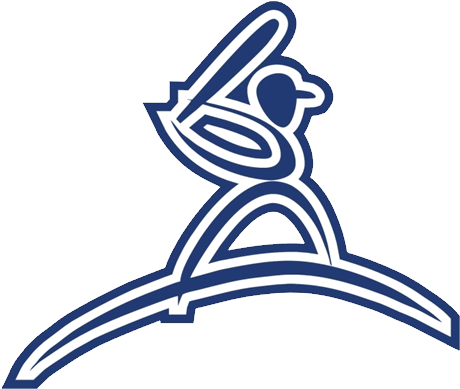 Former New York Met & Somerset Patriot - Former New York Met & Somerset Patriot (488x388)