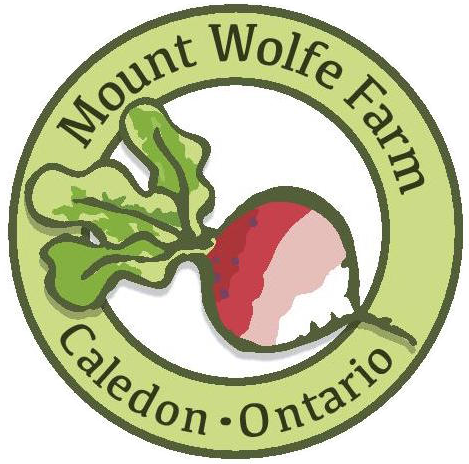 Logo - Harrison County Ms Seal (469x464)