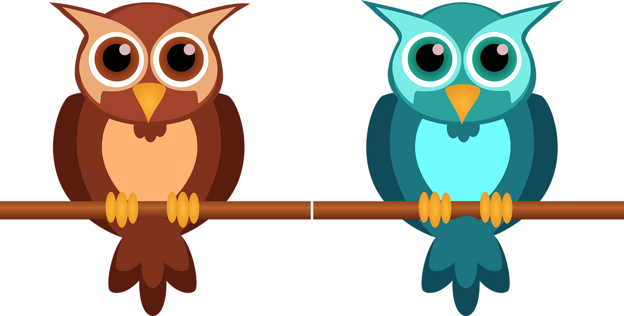 Owl Cute Nocturnal - Cartoon Pictures For Kids (1280x648)