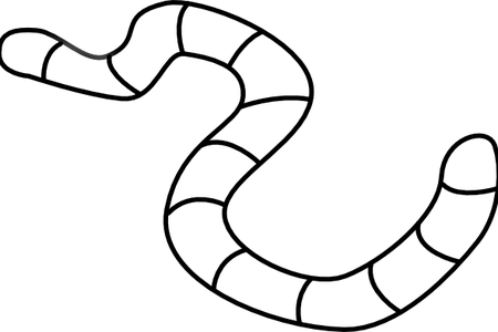 Graphic Black And White Download Wallpaper Worm Clipart - Outline Of A Worm (450x300)