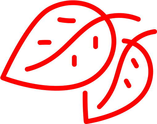 Matcha Dates Back To The Song Dynasty In Japan, Where - Matcha Dates Back To The Song Dynasty In Japan, Where (514x514)