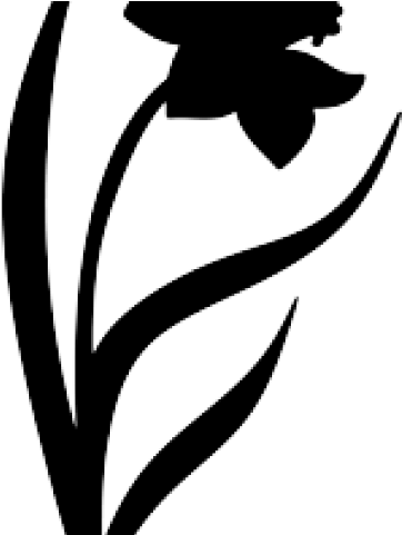 Silhouettes Clipart Flower - Daffodils Silhouette (640x480)