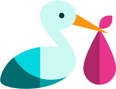 Ready To Build Your Own Visual Birth Plan - Duck (499x343)