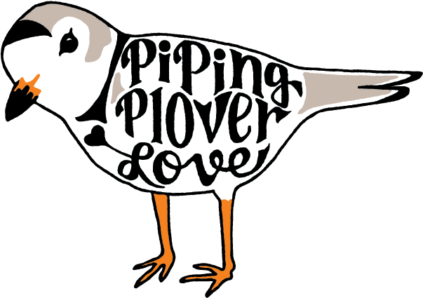 623 X 438 1 - Piping Plover Clipart (623x438)