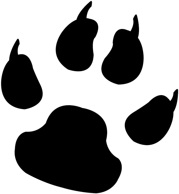 Paw Print Clip Art , Png Download - Animal Track (618x671)