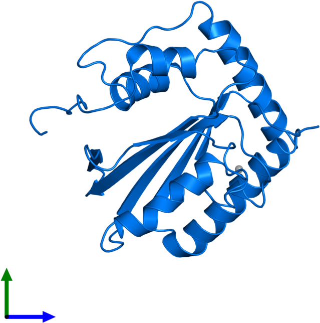 <div Class='caption-body'>pdb Entry 2m65 Contains 1 - Graphic Design (800x800)