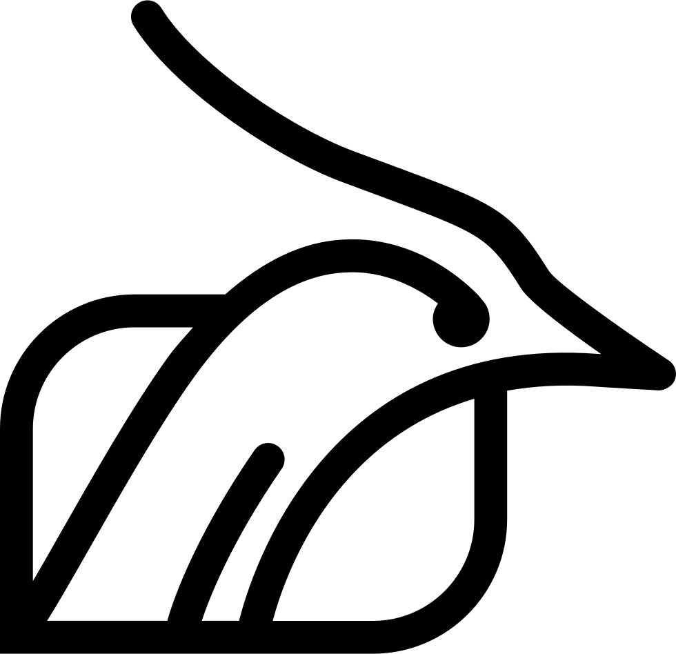 Head Outline Png - Bird Head Svg (980x948)