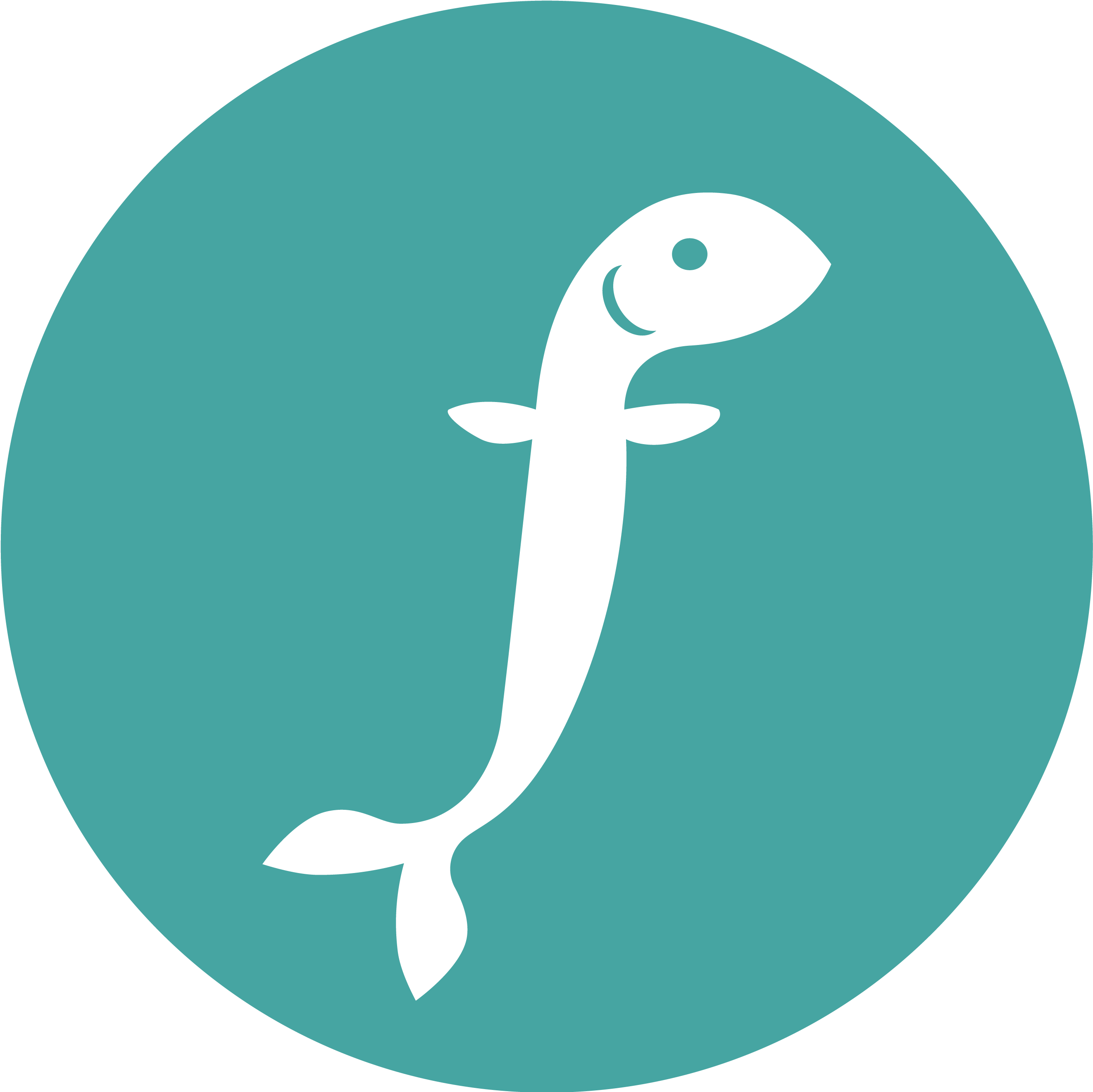 Coast Clipart Dolphins - Ville De Saint Etienne (2656x2656)