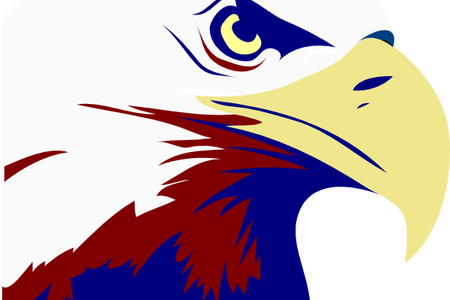 Philipines Clipart Eagle - Bald Eagle Clip Art (450x300)