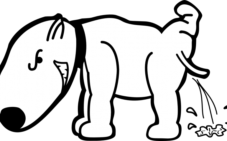 All Successful Dog Training Outcomes Depend On Preempting - Png Dog Peeing Clipart (770x480)