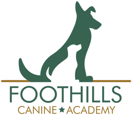 Foothills Canine Academy - Graphic Design (450x450)