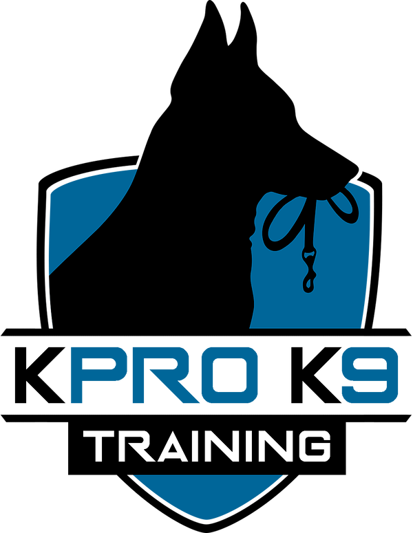 K Pro Shield Full Color - K Pro Shield Full Color (600x775)