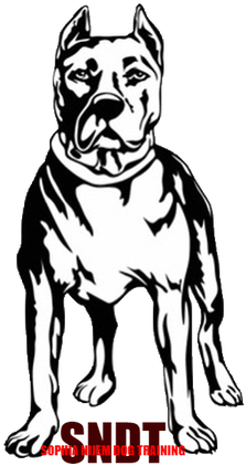 Bull And Terrier (271x500)