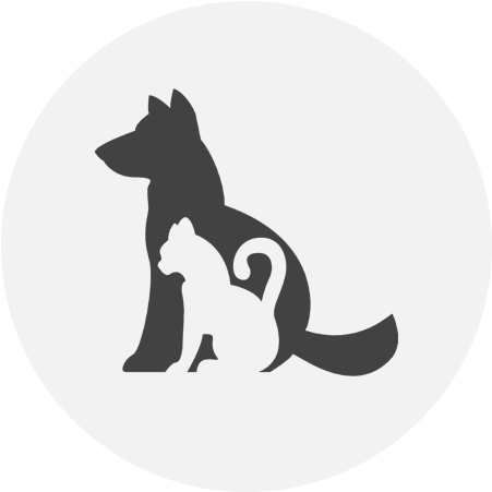 Pet Sitting - Silueta Perro Y Gato Png (500x500)
