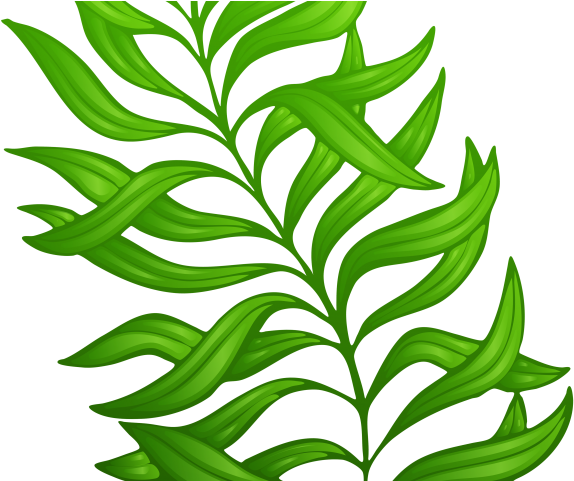 Fern Clipart Plant Flower - Clip Art (640x480)