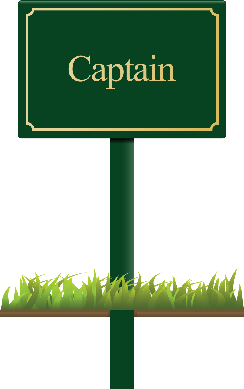 Car Parking Sign - Traffic Sign (898x1500)