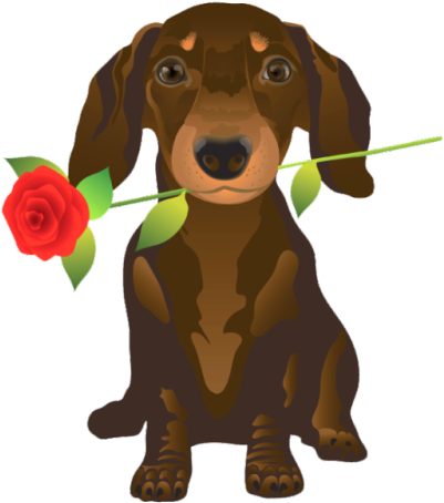Dachshund Clube - Valentines Day Quotes For Dog (500x500)