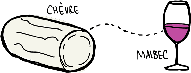 Wine Folly Goat Cheese Pairing - Line Art (800x383)