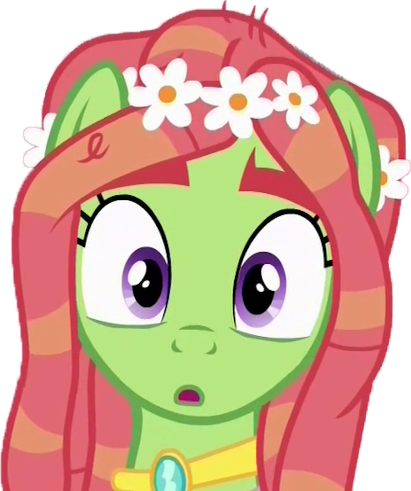 609 Kb Png - Mlp Tree Hugger Gala (800x955)
