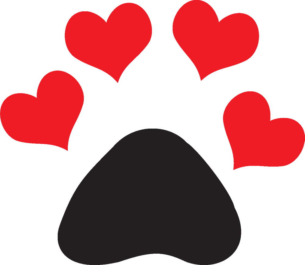 Pin Lhasa Apso Dachshund Mini Shih Tzu Yorkshire - Patinhas De Cachorro Gif (1000x867)