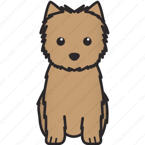 Cairn Terrier - Cairn Terrier Coloring Pages (600x600)