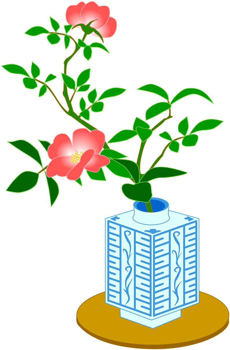 Rose,the System Bus,rosa Chinensis,pink Flower,single - Desert Rose (960x1280)