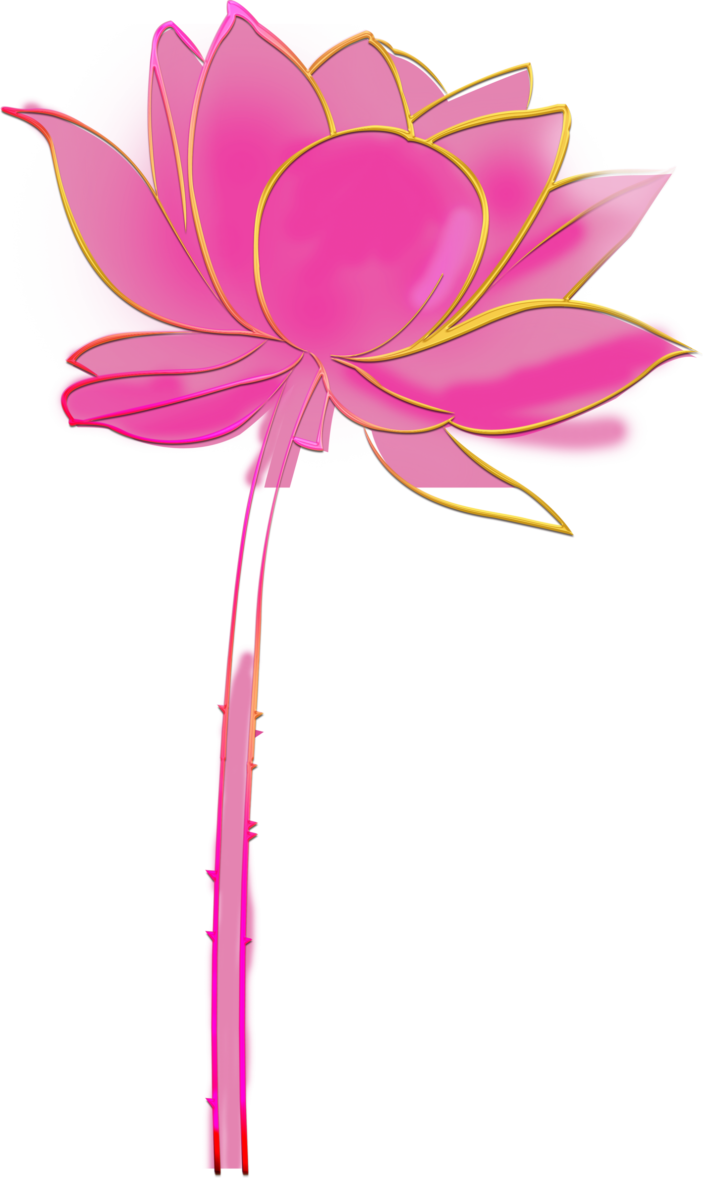 Flora Cut Flowers Plant Petal Hand Painted - Sacred Lotus (1419x2378)