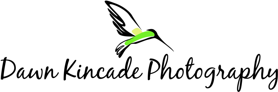 Dawn Bird Logo Horizontal Format=1500w - Dawn Bird Logo Horizontal Format=1500w (1000x350)
