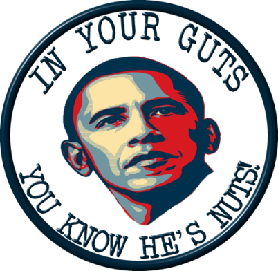 Barack Obama And Alinsky's Rules For Psychopaths - Obama Hope (402x392)