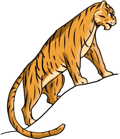 How To Draw A Tiger Easy For Kids - Bengal Tiger (600x600)