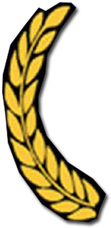 Show More - Show More (350x596)