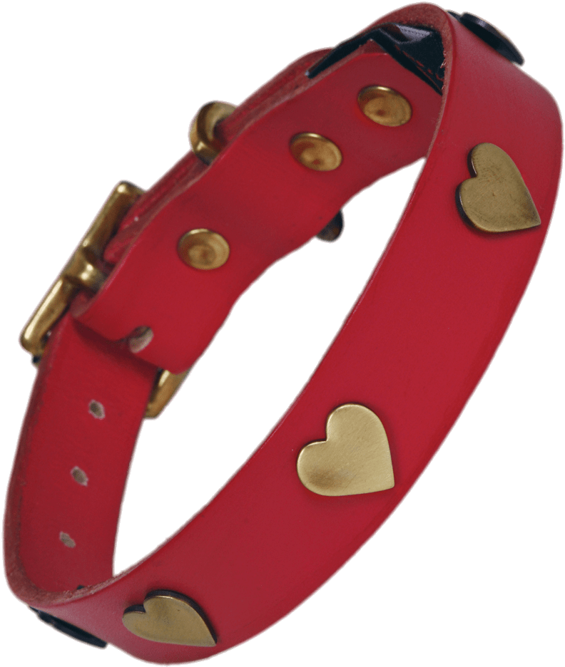 Golden Hearts Dog Collar - Bracelet (1000x1000)