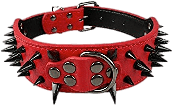 Miscellaneous - Spiked Dog Collars (350x350)