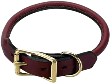 Rolled Leather Collar Australia (400x400)