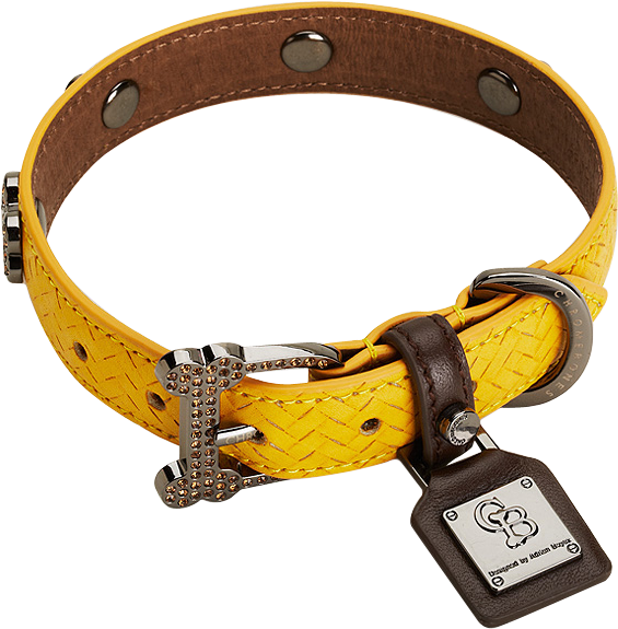 Dog Collar Png - Dog Collar Png (600x600)