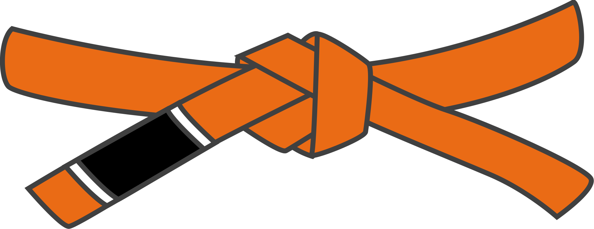 Bjj Orange Belt - Karate Orange Belt Clipart (2000x772)