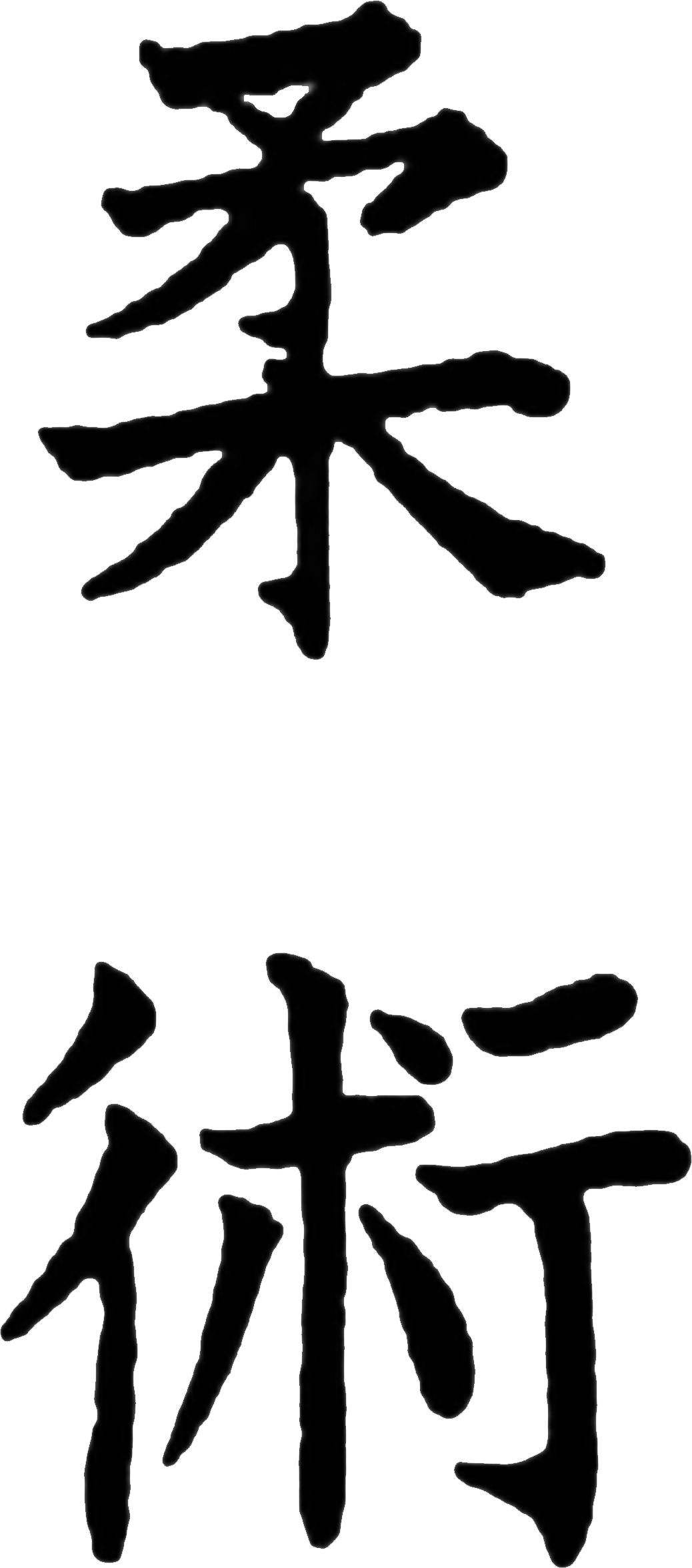 Ju Jitsu Literally Meaning The "art Of Softness\ - Jiu Jitsu Kanji Vector (1038x2349)
