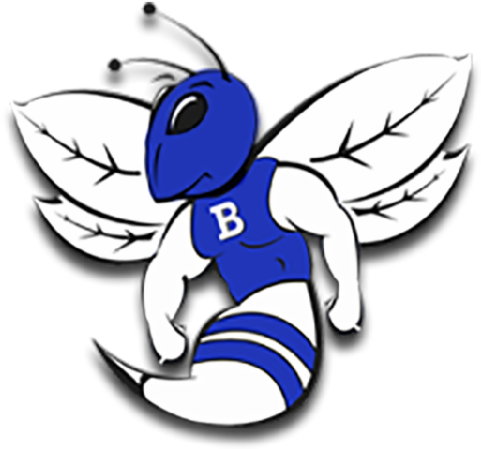 Black And White Stock Bryant High School Ar Athletics - Bryant High School Logo (480x480)