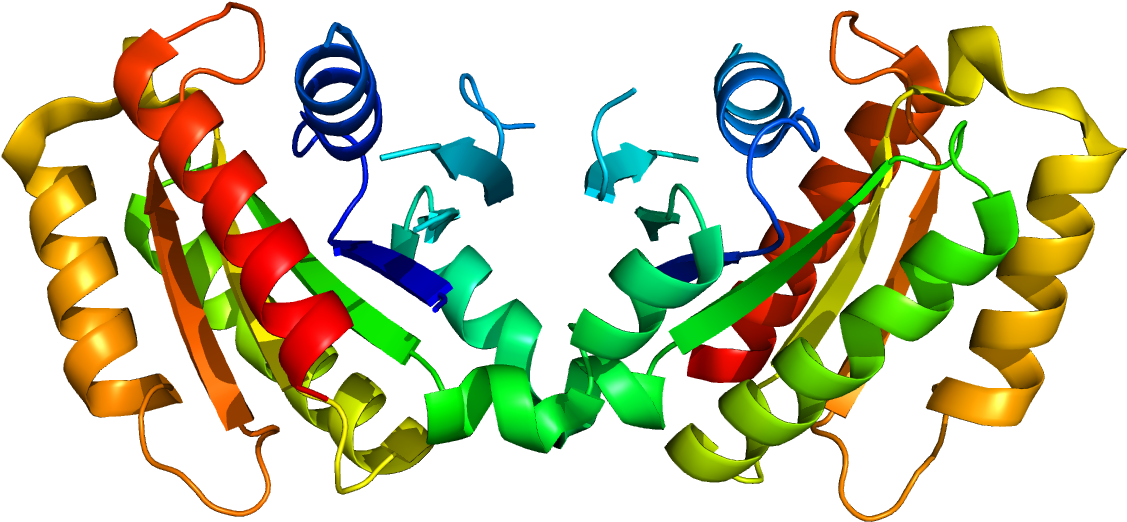 Examining The So-called Basque Mutation Of Parkinson's - Lrrk2 Protein (1200x1000)