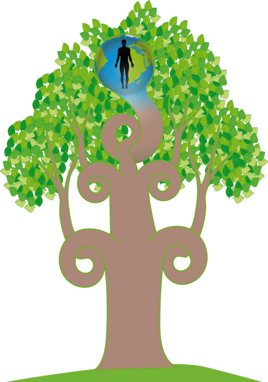 Computer Icons Drawing Art Floral Design - Clip Art (526x750)